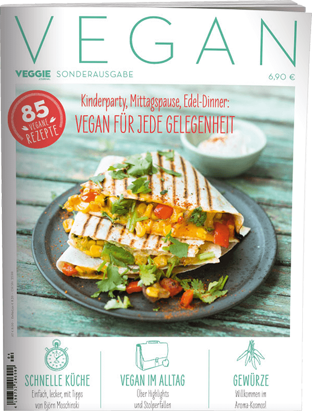 vegan-special-cover_3D